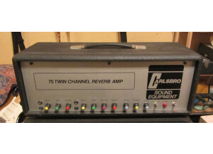 Carlsbro 75 Twin Channel Reverb Amp (96419)