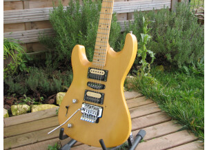 Lâg Custom Shop The Beast LH (91603)