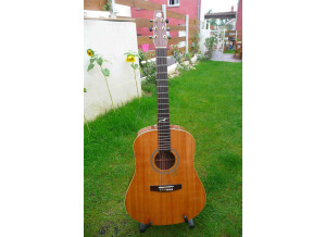 Seagull Artist Rosewood/Spruce