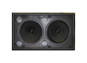 Custom Audio Electronics CAA 2x12 (38410)