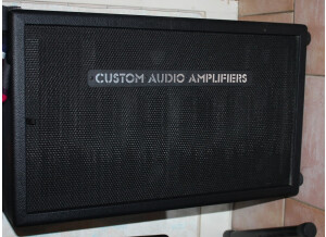 Custom Audio Electronics 2X12 (55790)