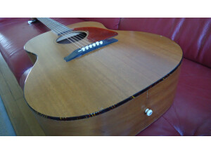 Gibson LG 0 (19604)