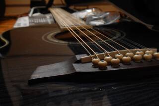 Ibanez AEL2012E