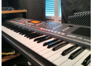 Roland EXR-7s (43902)