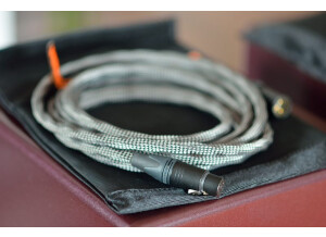 PSI Audio A21-M (92127)