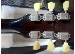 Gibson Les Paul Traditional Plus - Desert Burst