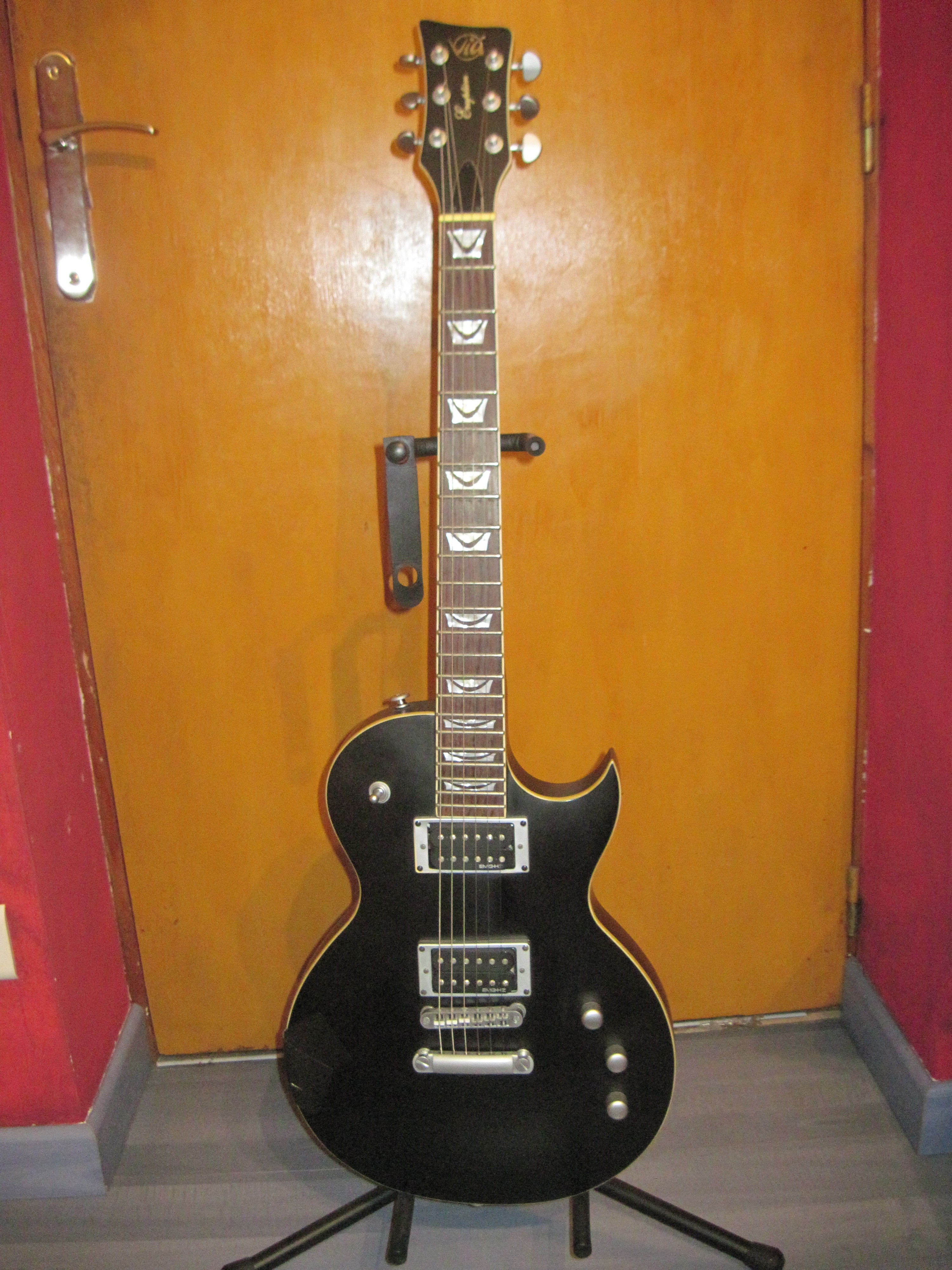 VIG Guitars Eruption