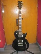 VIG Guitars Eruption