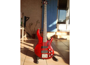 Cort A4 - Open Pore Black Cherry