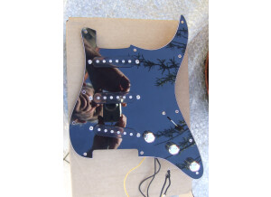 Fender Texas Special Strat Pickups (3652)