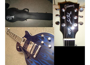 Gibson Les Paul GT (25406)