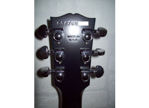 Gibson Les Paul GT (34405)