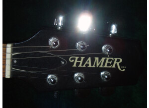 Hamer Studio Archtop (35530)