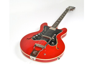Epiphone Professional (12509)