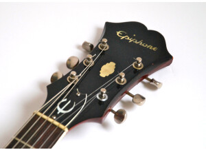 Epiphone Professional (18967)