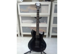 Washburn WI200 PROE