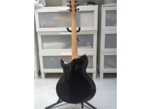 Washburn WI200 PROE