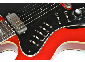 Epiphone Professional (25843)