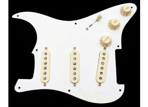 Fender Plaque stratocaster monté custom shop 69'
