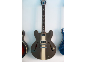 Gibson Tom Delonge - Brown with Cream Stripes (50626)