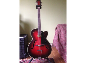 Hofner Guitars Model 450 (58722)
