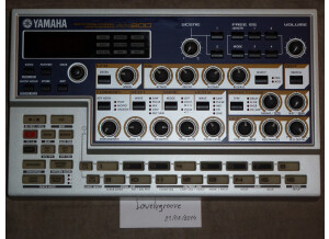 Yamaha AN200 (16674)