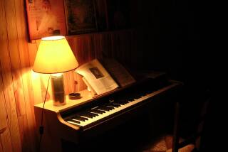 Korg Ec-120 Lt
