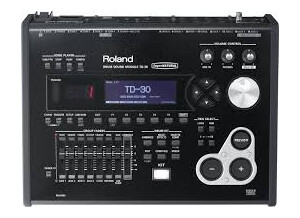 Roland TD-30 Module (24440)