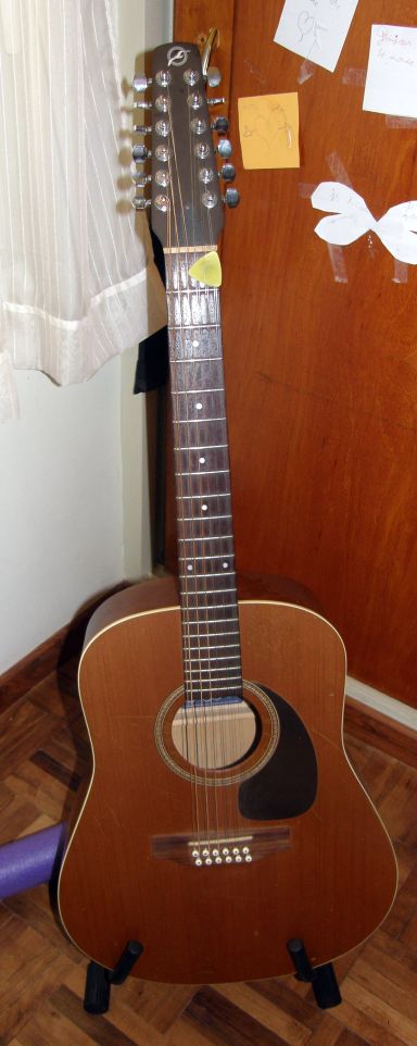 Seagull Coastline S12 Cedar