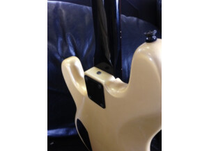 Fender Jazz Bass Special Fretless (14803)