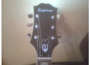 Epiphone FT-135