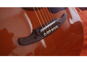 Melody Guitars Mod 500 (88324)