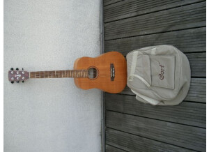 Cort Earth-Mini - Open Pore