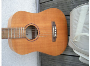 Cort Earth-Mini - Open Pore