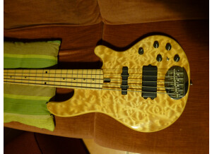 Lakland skyline 55-02 deluxe