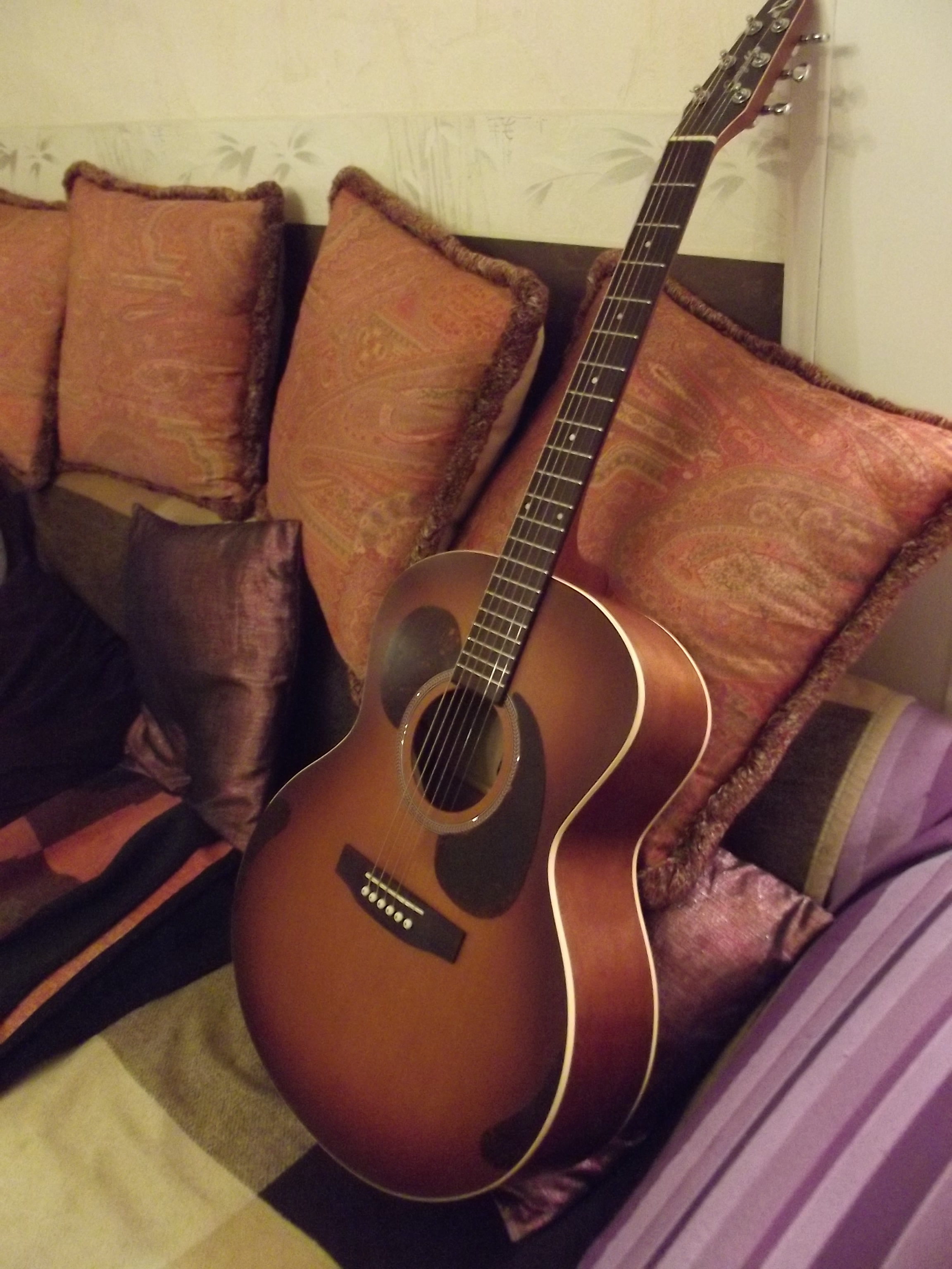 Seagull Entourage Mini Jumbo