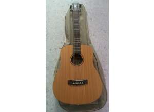 Cort earth mini f op