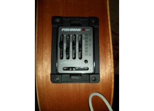 Cort earth mini f op