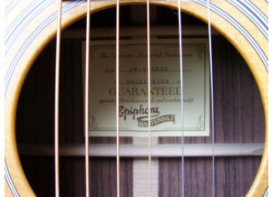 Epiphone Masterbilt EF-500 RNS