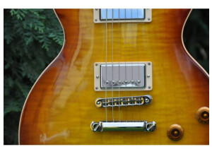 Gibson Les Paul Standard 2012 Premium Plus - Tea Burst (22626)