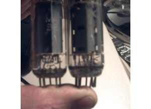 Gem Electronique s bass 50 (72989)