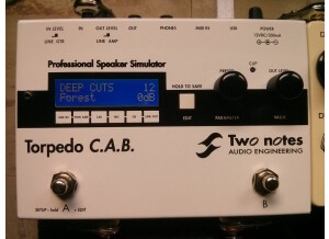 Two Notes Audio Engineering Torpedo C.A.B. (Cabinets in A Box) (40792)