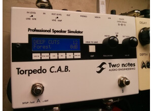 Two Notes Audio Engineering Torpedo C.A.B. (Cabinets in A Box) (43460)