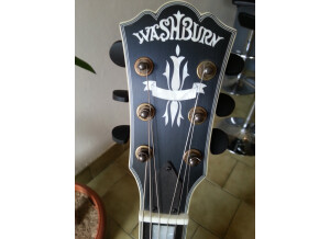 Washburn HB36