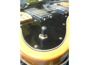 Fender Telecaster Deluxe 73