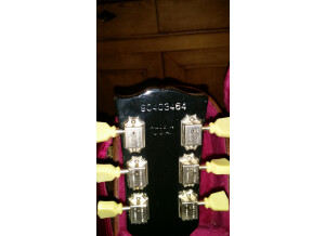 Gibson Les Paul Standard 50's (34488)
