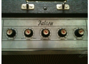 Gibson Falcon GA-19 RVT