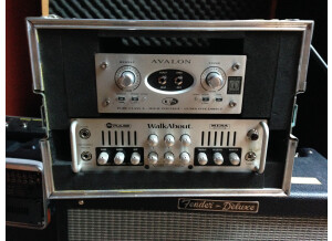 Mesa Boogie M-Pulse WalkAbout (35093)