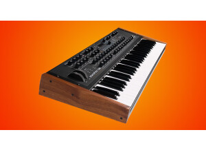 Dave Smith Instruments Prophet ?08 Pot Edition (26460)