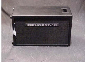 Custom Audio Electronics 2X12 7964